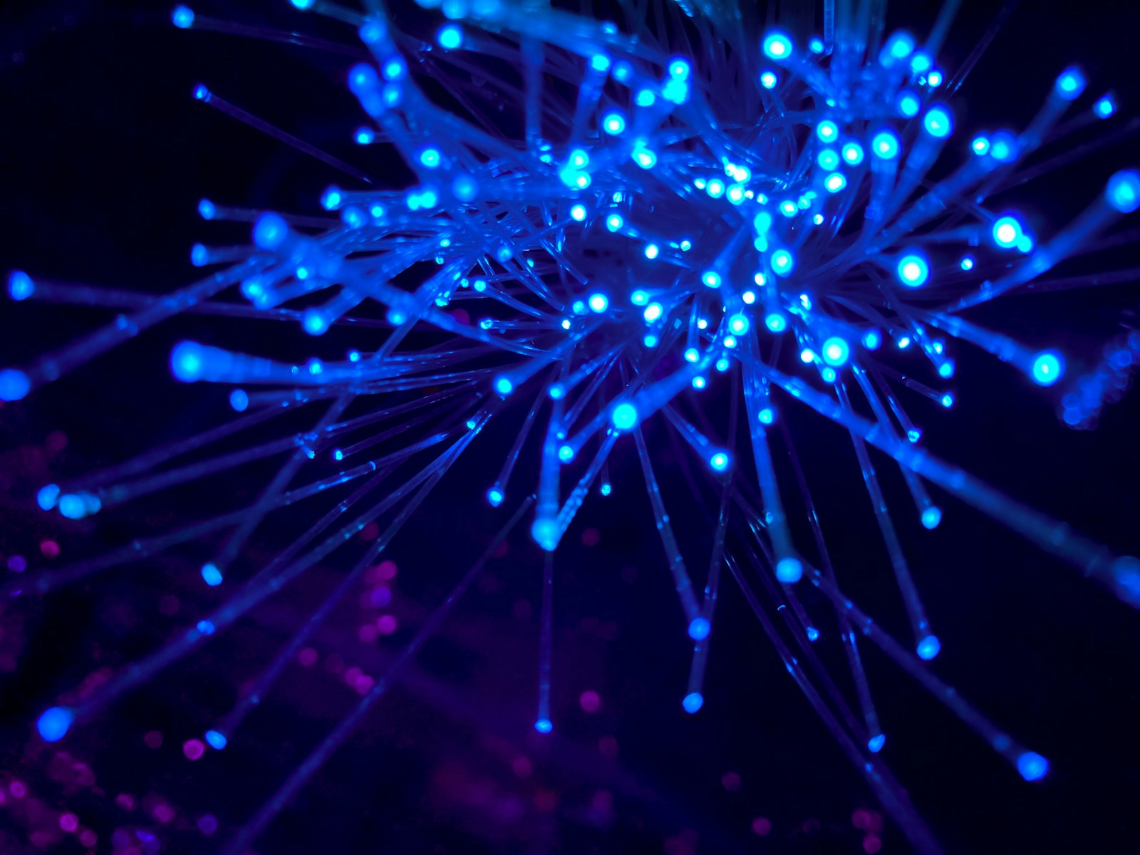Legacy system modernization in 2026: strategy, cost and ROI