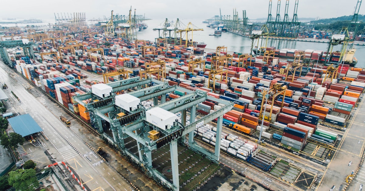 Logistics Software Development: Cost, Stack and Integrations