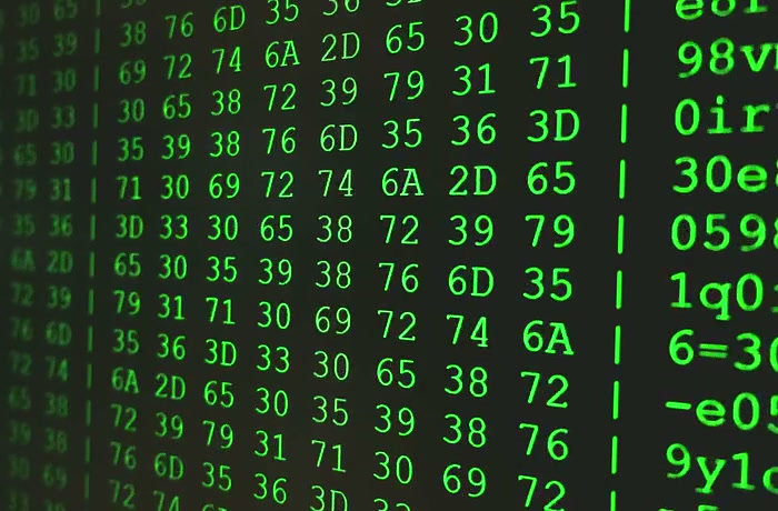 Developer writing PHP backend code for a web application