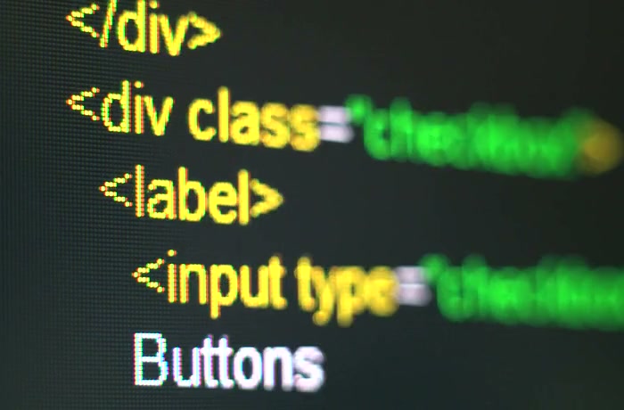 Vue.js development for reactive, component-based web user interfaces